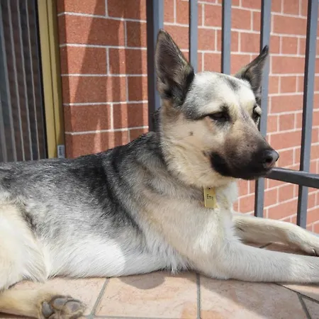 Casa Emy Da Teresina * Piobesi d'Alba